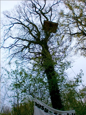 Bosque Ocupado Contra Cielo Abierto de Carbón: Alemania- Declaración